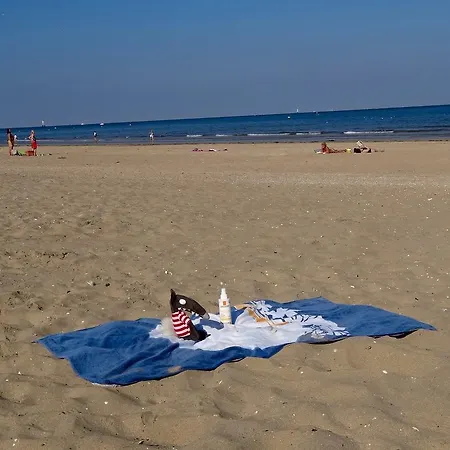 Appartement, Vue A 150m De La *